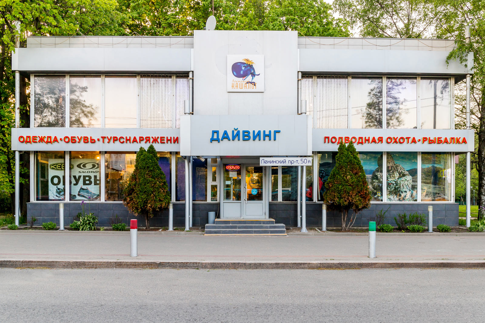 Лохматый кашалот