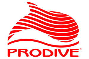 Логотип Prodive